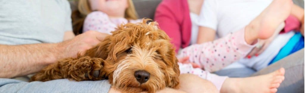 Air Quality St Louis