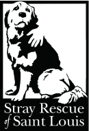 Stray Rescue Animal Rescue St Louis - Air Scrubber - Partner With Hoffmann Brothers