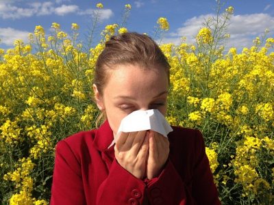 What Helps With Allergies? Hoffmann Brothers