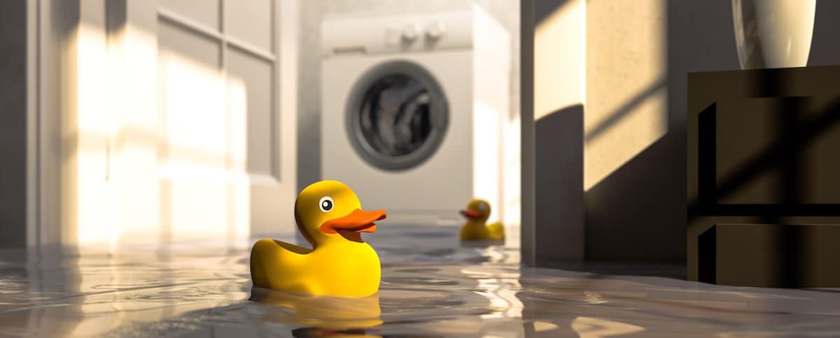 How to Prevent Flooding - Hoffmann Brothers