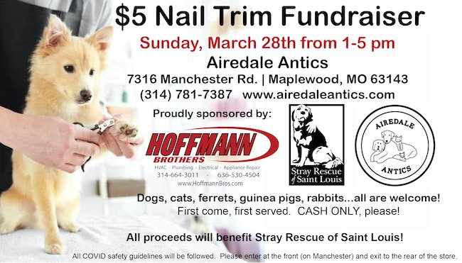 Nail Trim Fundraiser March