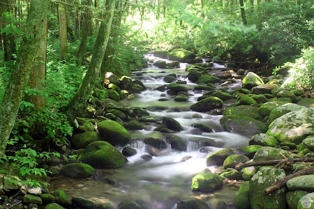 Tennessee Water Quality - Hoffmann Brothers 