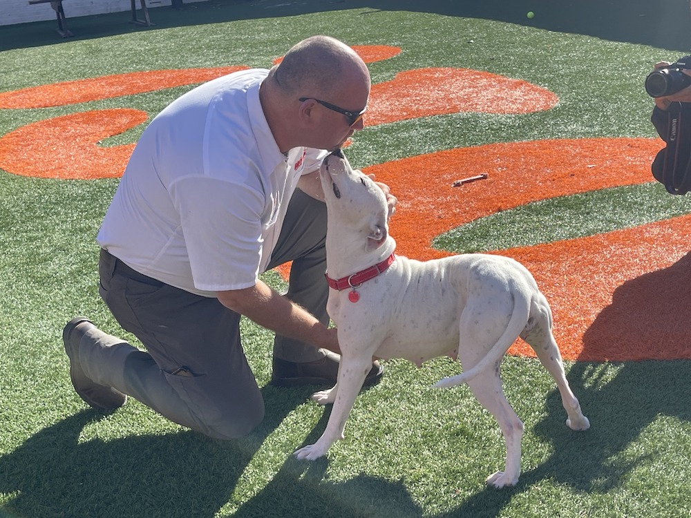 Stray Rescue Event 2022