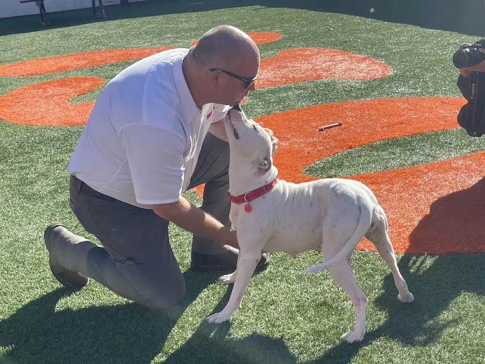 Stray Rescue Event 2022