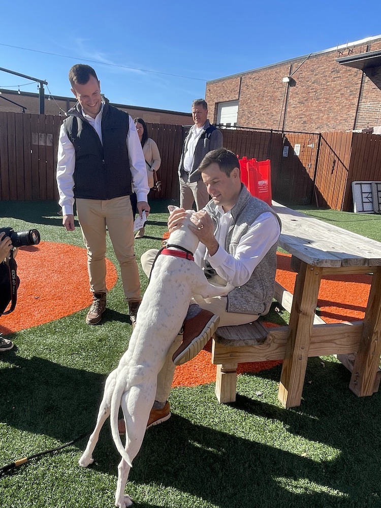 Stray Rescue 2022 - Hoffmann Brothers