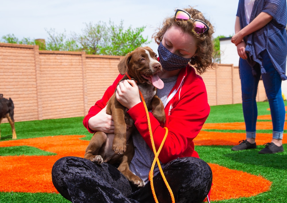 Wags & Walks Animal Adoption - Hoffmann Brothers