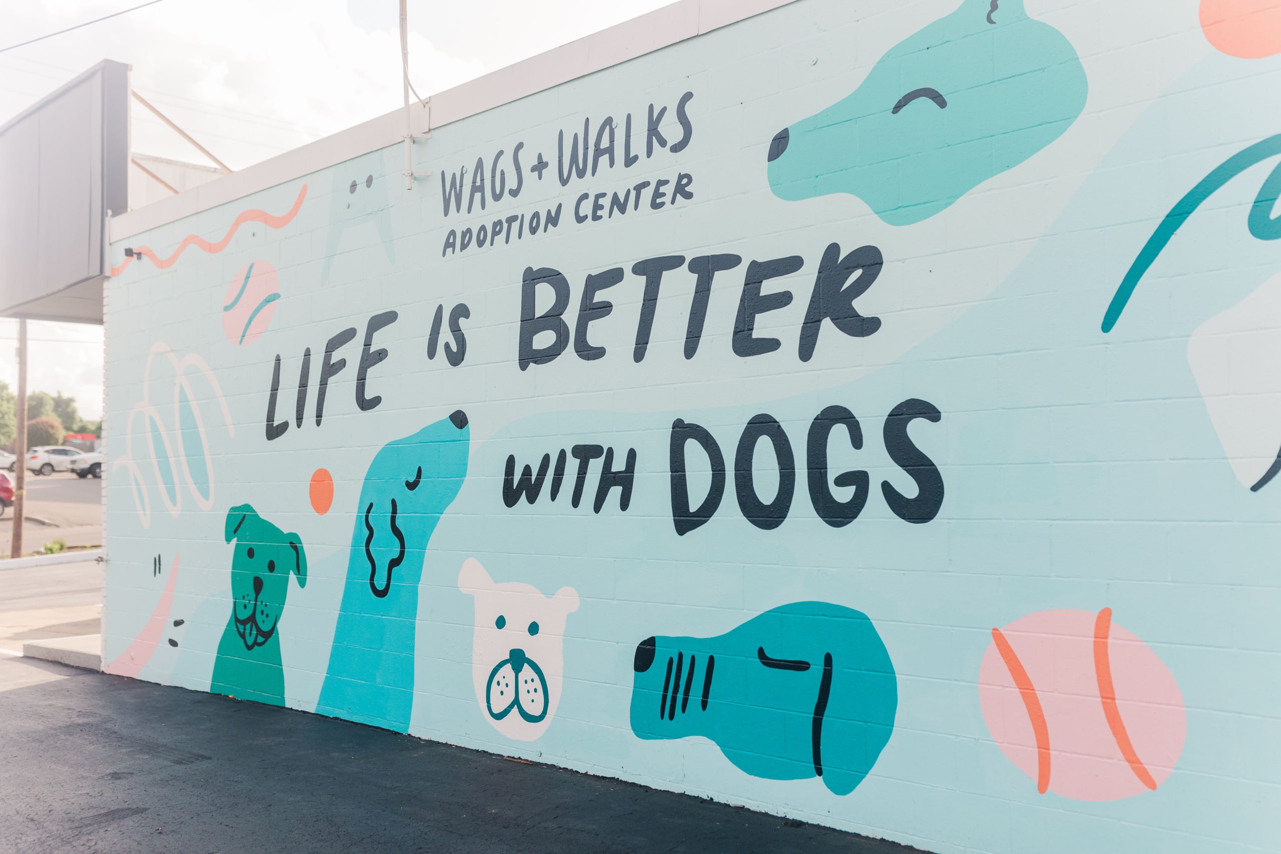 Wags and Walks mural that reads 'Bring Happiness Home'