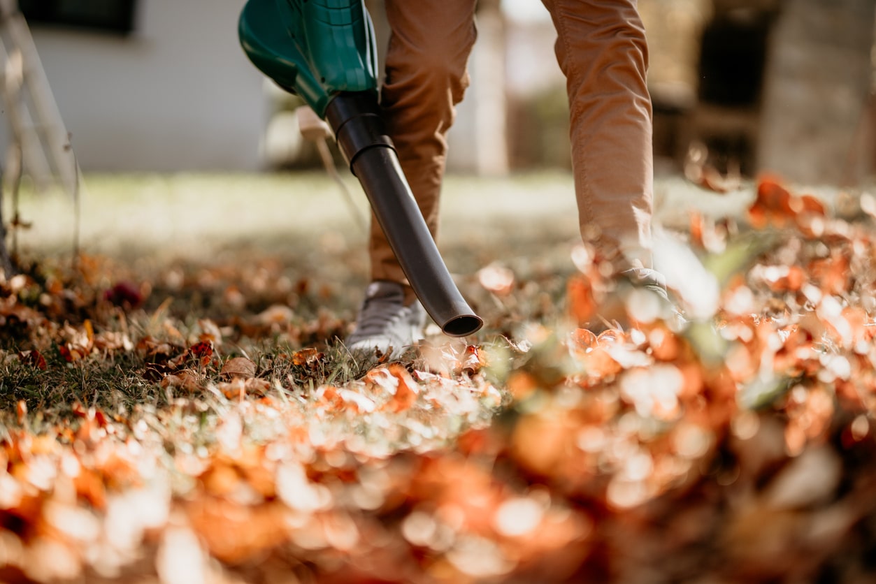 Leaf blowing and general landscaping to ensure the yard is free of leaves, branches and other debris should be part of everyones fall maintenance checklist