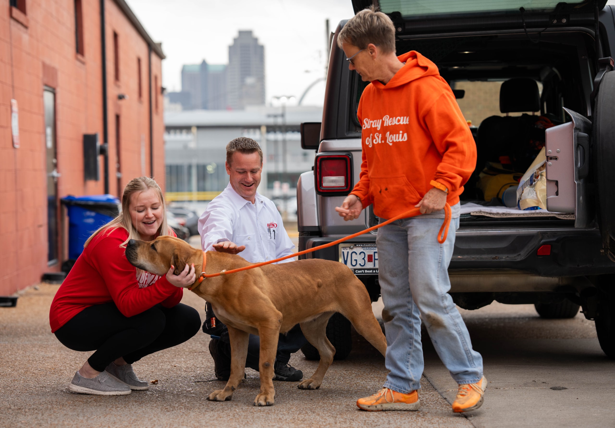 Hoffmann Brothers and Stray Rescue team playing with one of the rescues