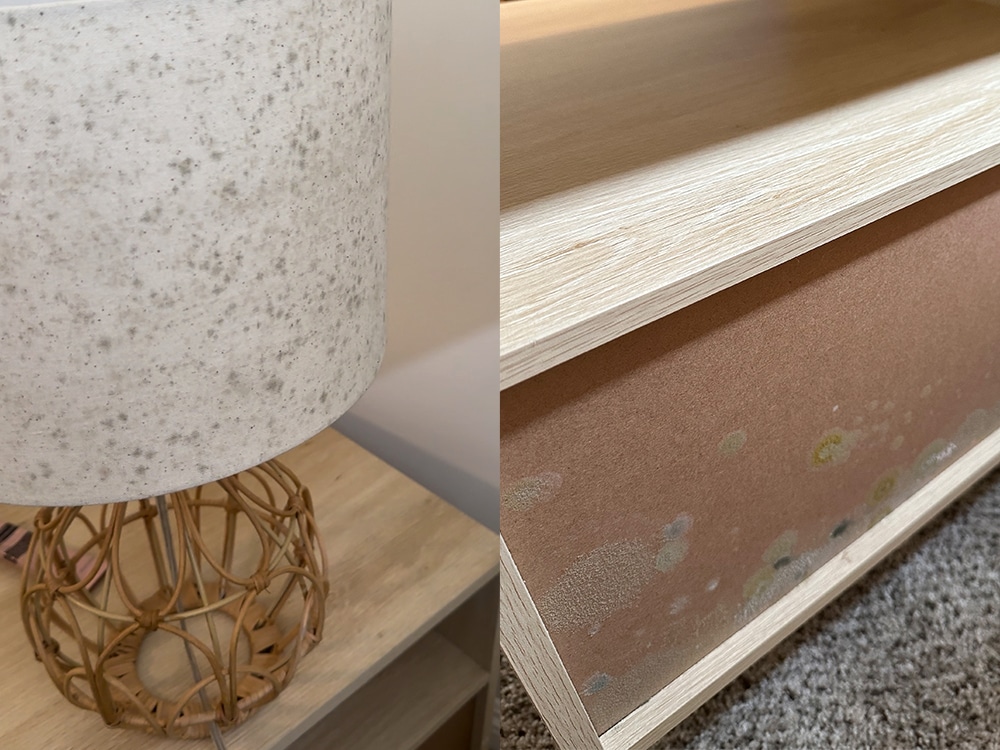 Mold on lampshade and tv console as a result of high humidity in house
